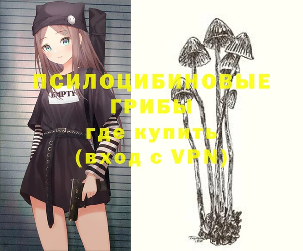 герыч Ельня