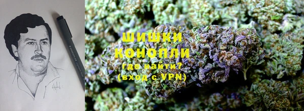 герыч Ельня