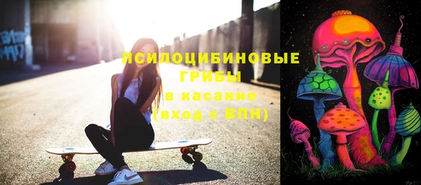 дмт Елизово