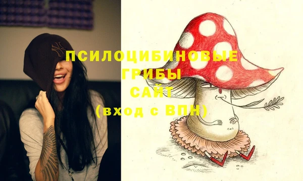 герыч Ельня