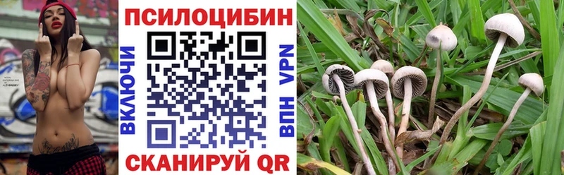 Галлюциногенные грибы мухоморы  Купить  Абинск 